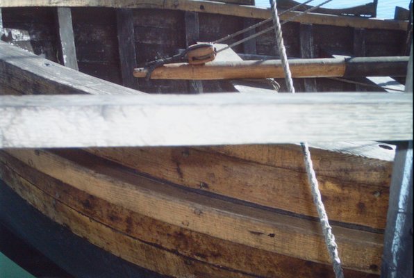 IMG_1720 (11-22-2013 07:33)