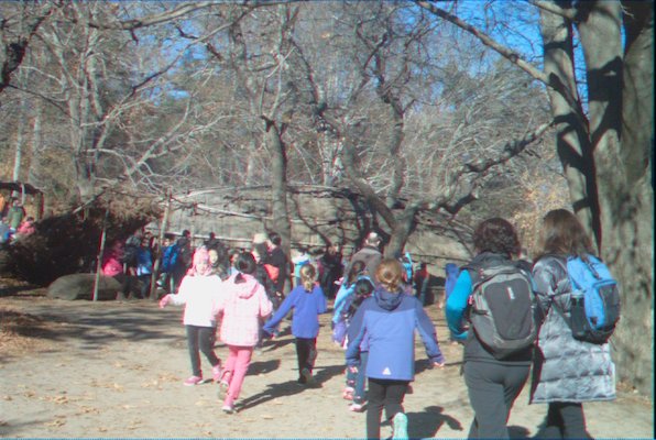 IMG_1743 (11-22-2013 07:33)