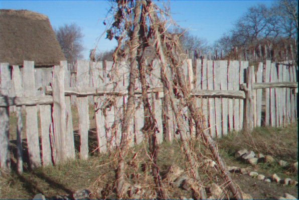 IMG_1746 (11-22-2013 07:33)