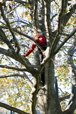 Edit (11-10-2012 14:46)