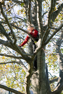 0982_111012_D0188 (11-10-2012 14:46)