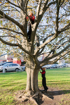 0984_111012_D0190 (11-10-2012 14:46)