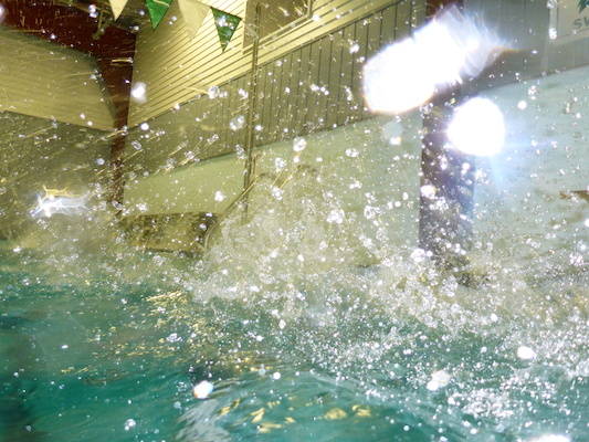 P1000270 (10-18-2013 18:08)