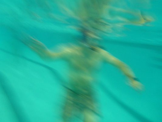 P1000274 (10-18-2013 18:25)