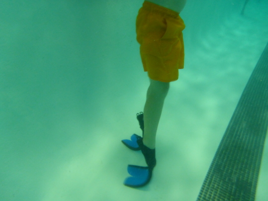 P1000278 (10-18-2013 18:26)