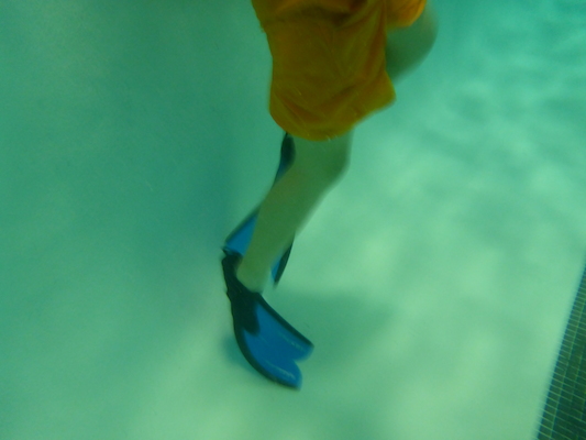 P1000279 (10-18-2013 18:26)