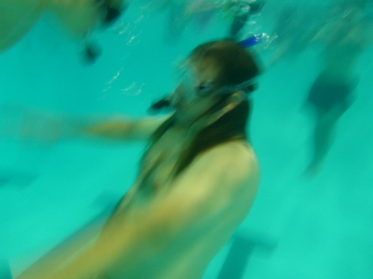 P1000284 (10-18-2013 18:27)