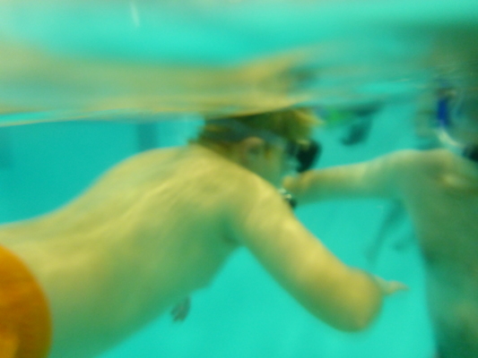 P1000285 (10-18-2013 18:28)