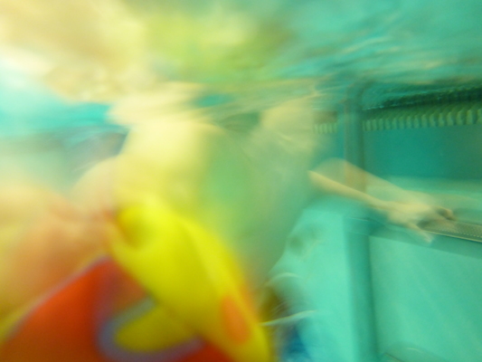 P1000286 (10-18-2013 18:29)