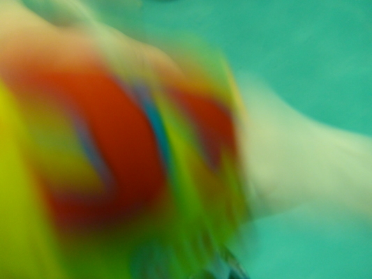 P1000288 (10-18-2013 18:29)