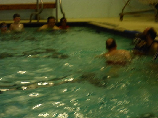 P1000304 (11-03-2013 18:17)