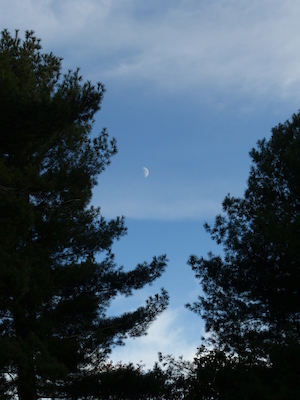 P1010001 (10-11-2013 17:12)