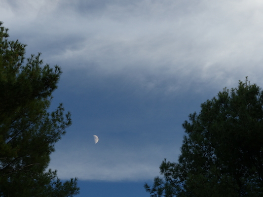 P1010002 (10-11-2013 17:12)