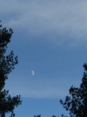 P1010003 (10-11-2013 17:12)