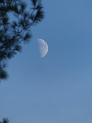 P1010004 (10-11-2013 17:12)