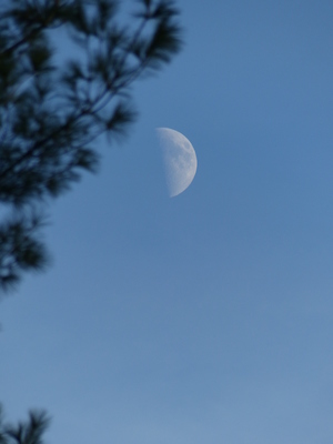 P1010005 (10-11-2013 17:12)