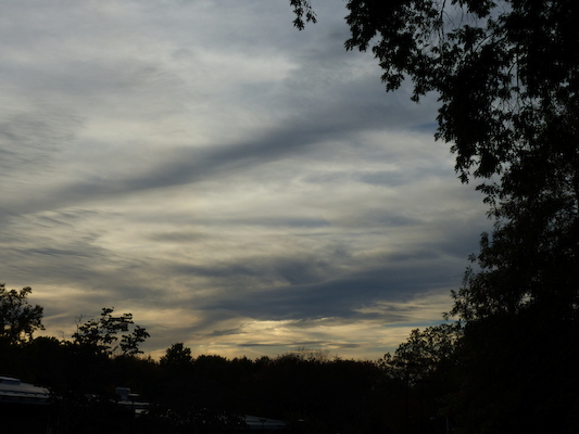 P1010006 (10-11-2013 17:30)