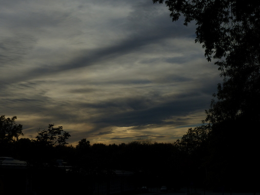 P1010007 (10-11-2013 17:30)