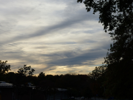 P1010008 (10-11-2013 17:31)