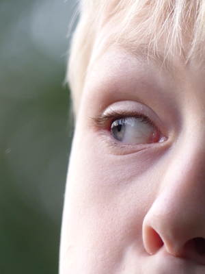 P1010015 (10-11-2013 17:32)