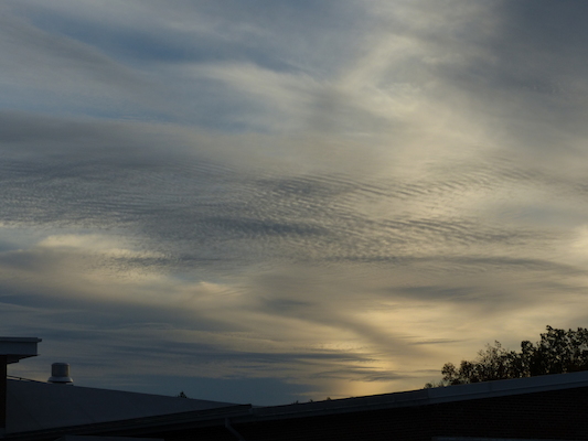 P1010017 (10-11-2013 17:33)