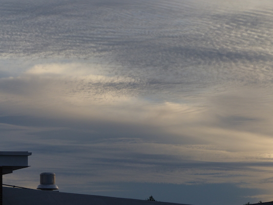 P1010018 (10-11-2013 17:33)