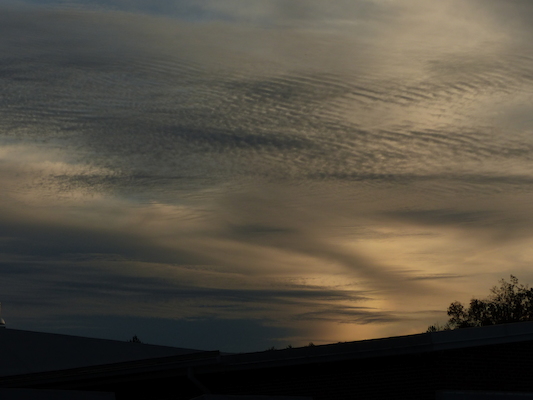 P1010019 (10-11-2013 17:34)