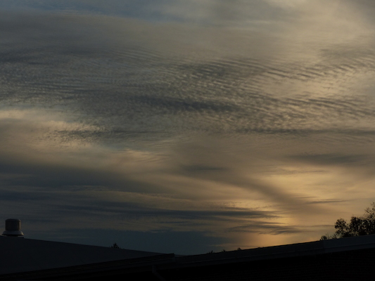 P1010020 (10-11-2013 17:34)