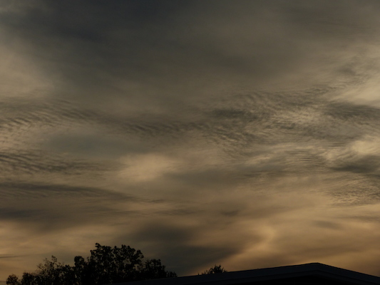 P1010021 (10-11-2013 17:34)