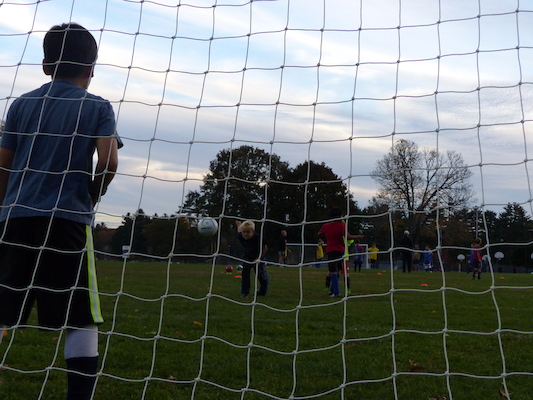 P1010025 (10-11-2013 17:41)