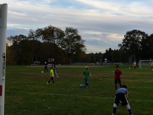 P1010026 (10-11-2013 17:42)