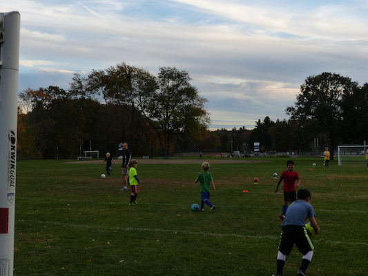 P1010027 (10-11-2013 17:42)