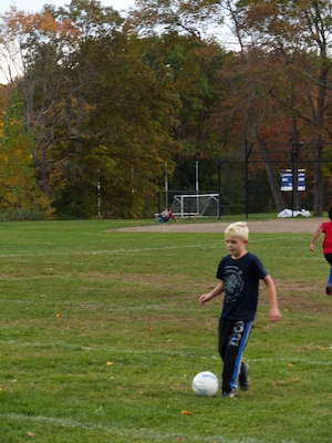 P1010029 (10-11-2013 17:42)