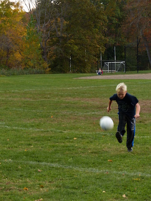 P1010030 (10-11-2013 17:42)