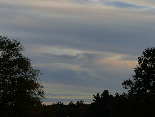 P1010031 (10-11-2013 17:42)