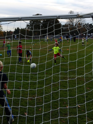 P1010034 (10-11-2013 17:43)