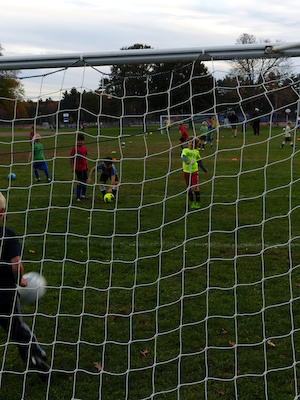 P1010035 (10-11-2013 17:43)