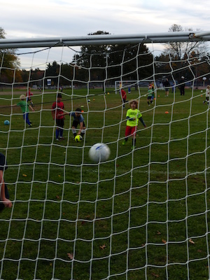 P1010036 (10-11-2013 17:43)