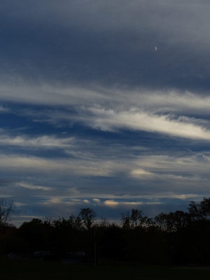 P1010037 (10-11-2013 17:45)