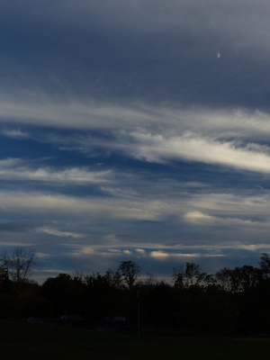 P1010038 (10-11-2013 17:45)