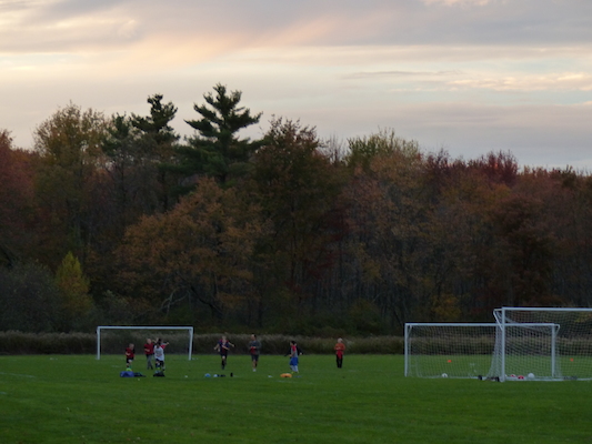 P1010039 (10-11-2013 17:54)