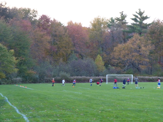 P1010040 (10-11-2013 17:54)