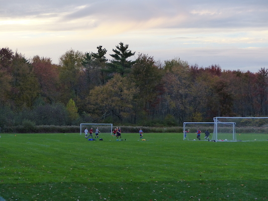 P1010041 (10-11-2013 17:55)