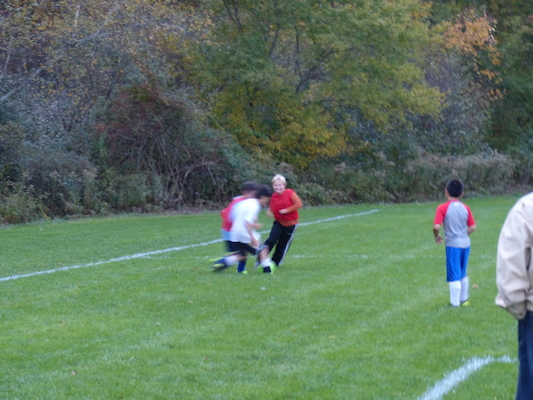 P1010042 (10-11-2013 17:57)