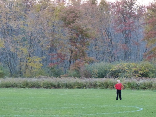 P1010044 (10-11-2013 18:02)