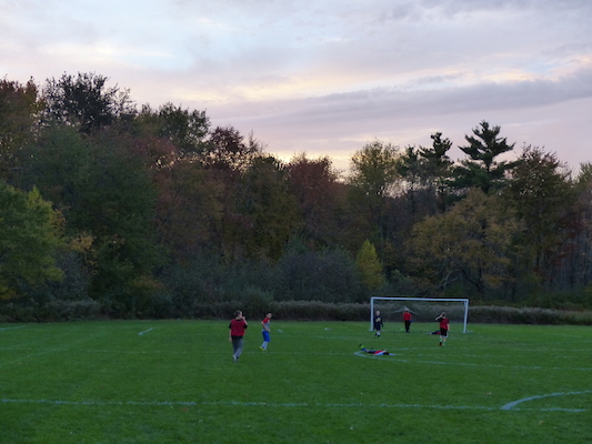 P1010045 (10-11-2013 18:03)