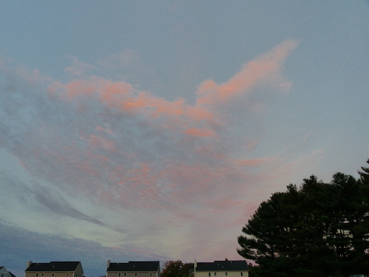 P1010050 (10-11-2013 18:09)