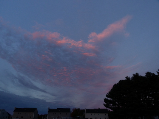 P1010051 (10-11-2013 18:10)