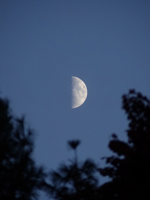 P1010052 (10-11-2013 18:10)