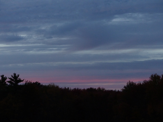 P1010055 (10-11-2013 18:11)